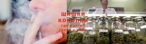 СК Вязьма