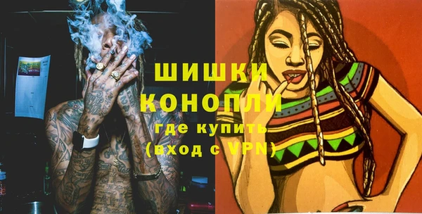 СК Вязьма