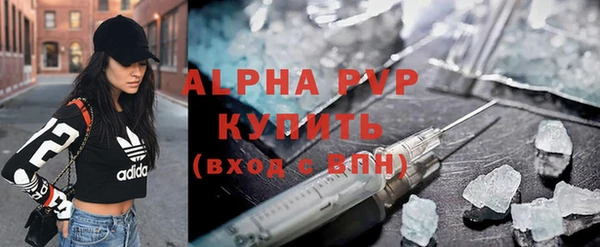 СК Вязьма