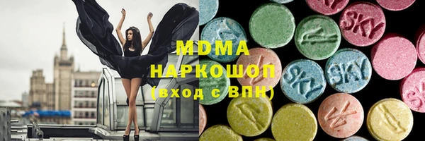СК Вязьма