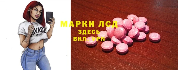 СК Вязьма