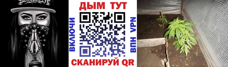 Марихуана гибрид Заволжск